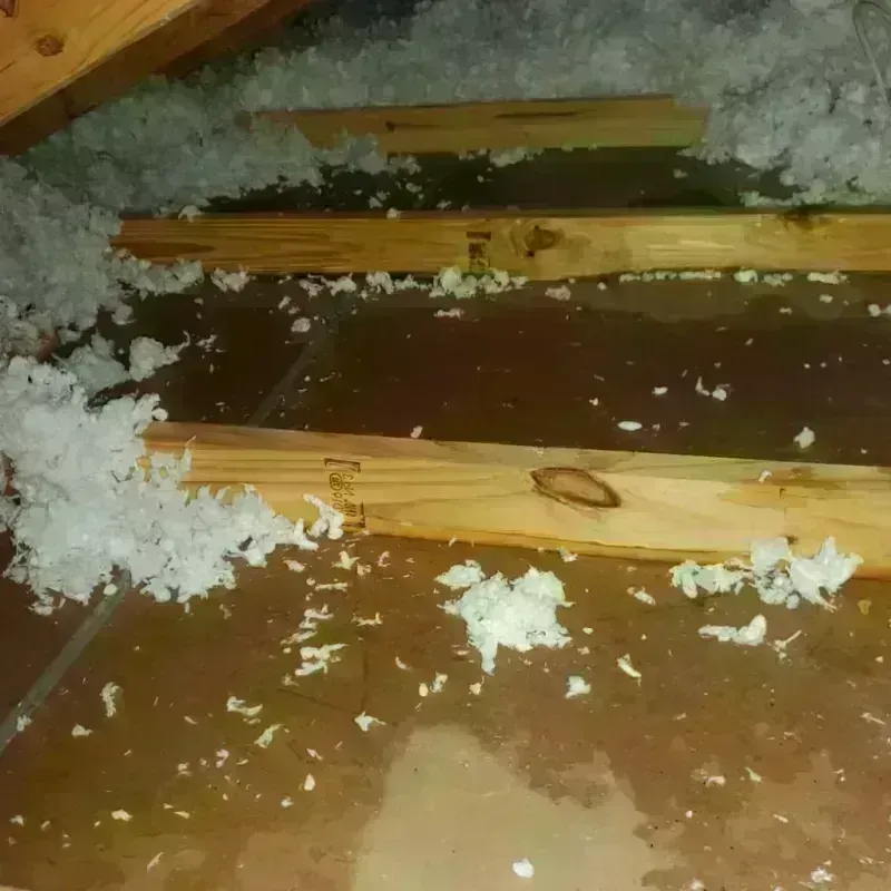 Attic Water Damage in Falmouth, VA